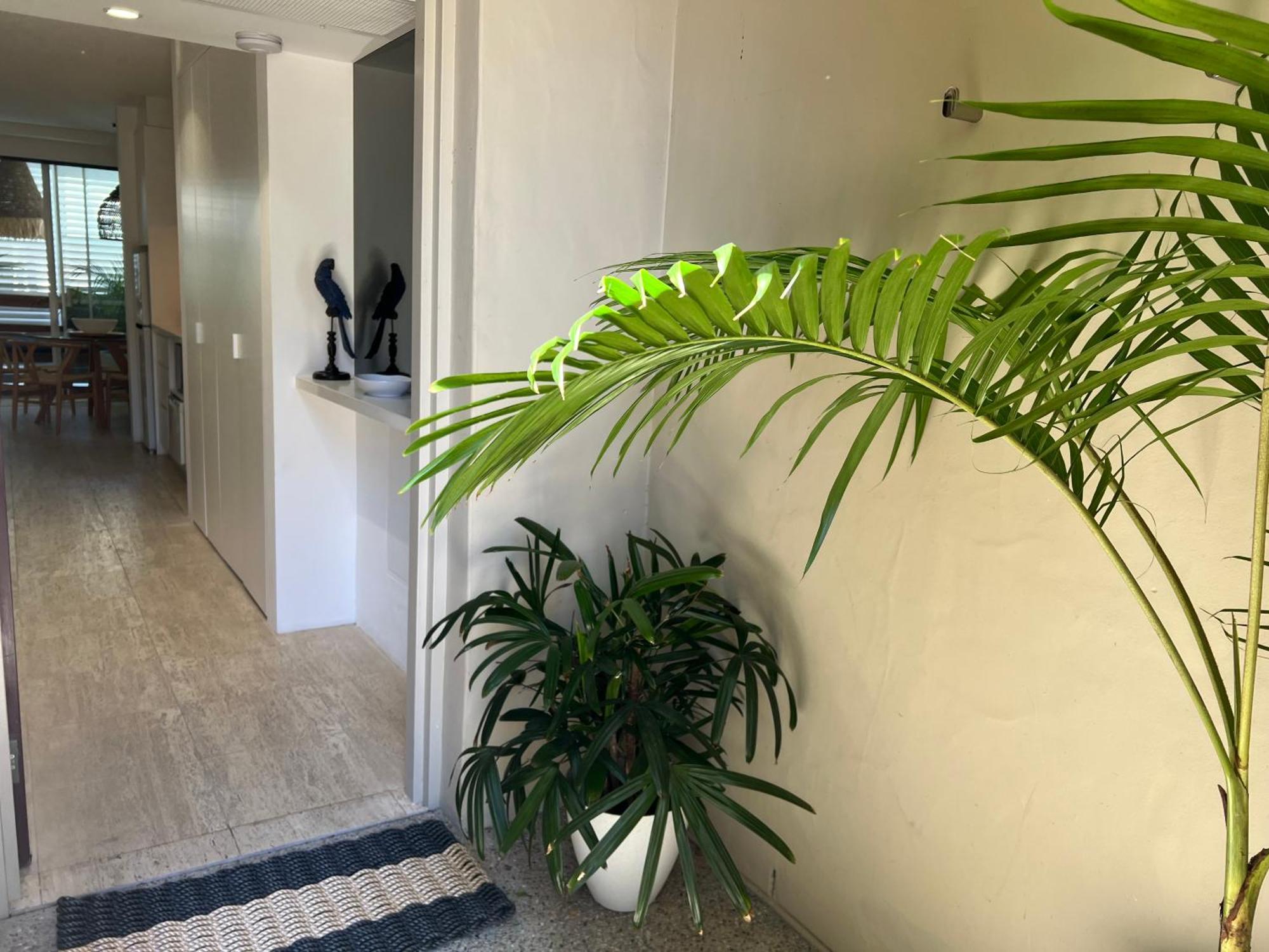 Carramah Noosa Heads Apartment Экстерьер фото